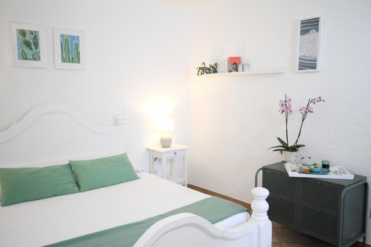 Villa Drina Ίσκια Εξωτερικό φωτογραφία